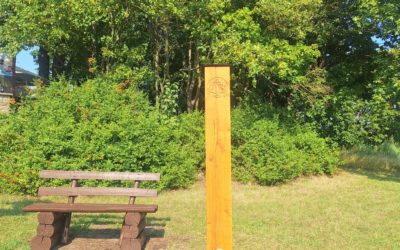 Naturlehrpfad Süd erhält neue Eichenstelen und moderne Informationsangebote